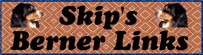 SKIP'S BERNER LINKS LOGO
